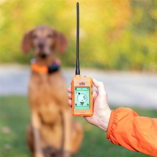 Dog Trace Tracking system DOG GPS X30