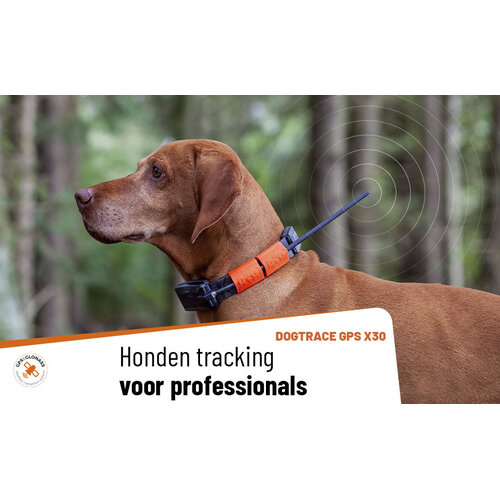 Dog Trace Tracking system DOG GPS X30
