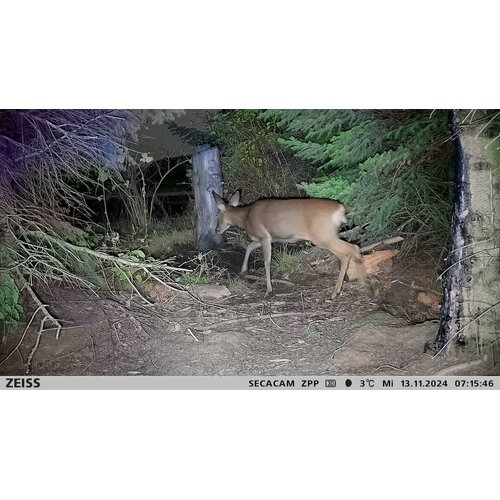 Zeiss ZEISS Secacam 3 + Power Pack