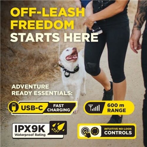 Dogtra Trainingshalsband Dogtra 600Iq 1 dog unit