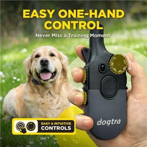 Dogtra Trainingshalsband Dogtra 600Iq 1 dog unit