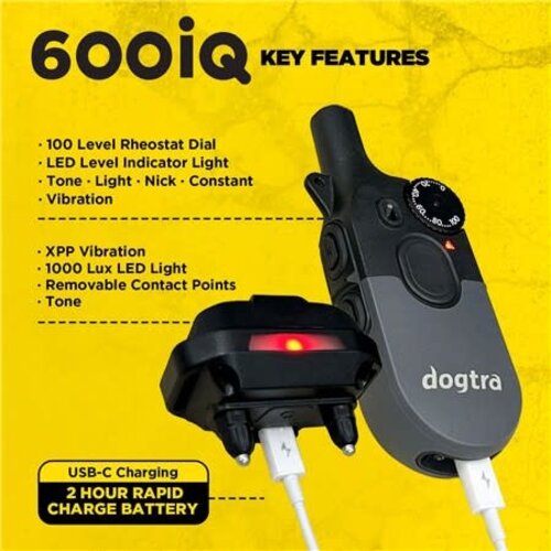 Dogtra Trainingshalsband Dogtra 600Iq 1 dog unit