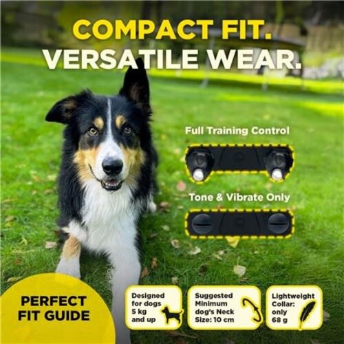 Dogtra Trainingshalsband Dogtra 600Iq 1 dog unit