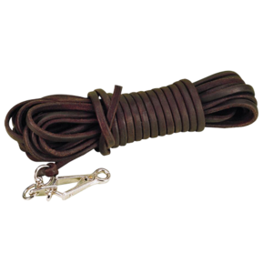 Fritzmann Search line 10m