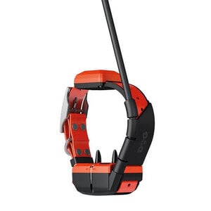 Dog Trace GPS collar for dog with training module DOG GPS X40T Dog Trace GPS collar for dog with training module DOG GPS X40T