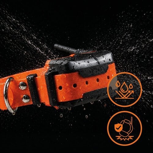 Dog Trace GPS-halsband voor honden met trainingsmodule DOG GPS X40T Dog Trace GPS-halsband voor honden met trainingsmodule DOG GPS X40T