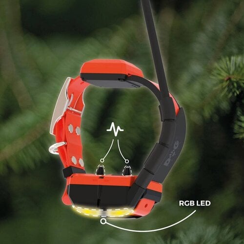 Dog Trace GPS-halsband voor honden met trainingsmodule DOG GPS X40T Dog Trace GPS-halsband voor honden met trainingsmodule DOG GPS X40T