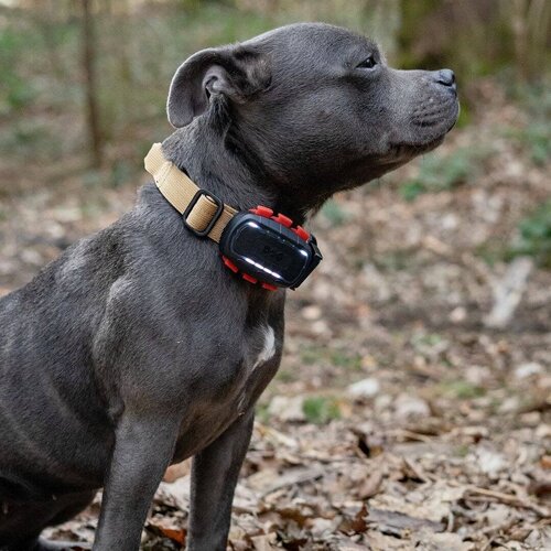 Dog Trace Tracker DOG GPS Ultra zwart
