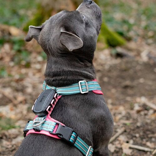 Dog Trace Tracker DOG GPS Ultra zwart