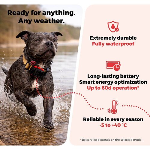 Dog Trace Tracker DOG GPS Ultra zwart