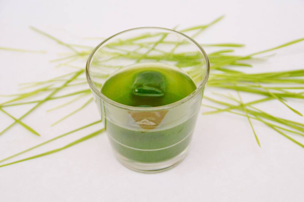 Gemakkelijk Gezond: Tarwegrassap in klontjes!