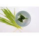 Tarwegrasshots Bundels cupjes bevroren Tarwegrassap Tarwegrasshots Bundels cupjes bevroren Tarwegrassap