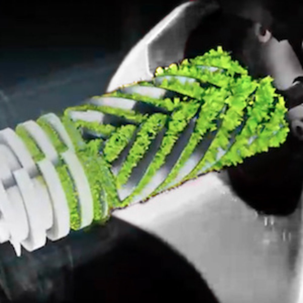 BioChef Gemini Twin Gear Slowjuicer Wit BioChef Gemini Twin Gear Slowjuicer Wit