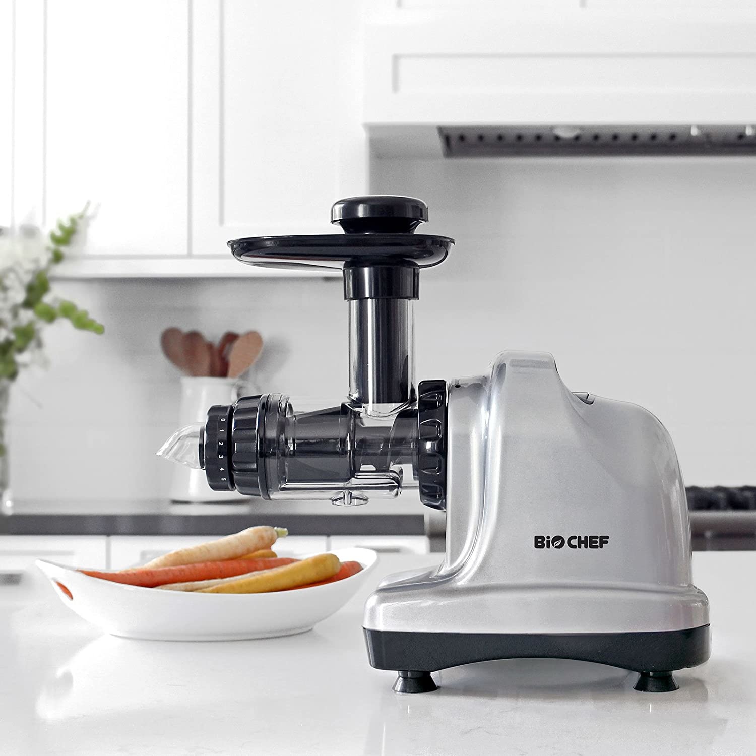 BioChef Axis Slowjuicer Zilver