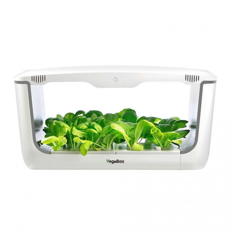 VegeBox™ Home - Indoor Hydroponic Garden