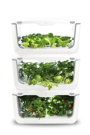 VegeBox™ VegeBox™ Home - Indoor Hydroponic Garden