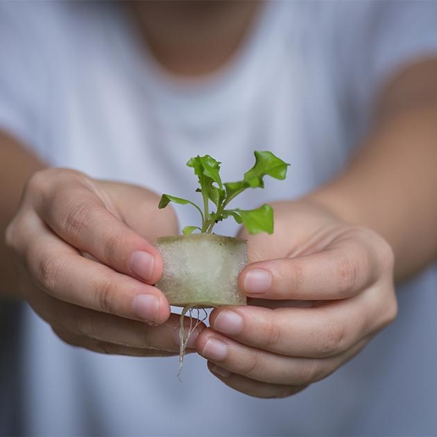 VegeBox™ Home - Indoor Hydroponic Garden