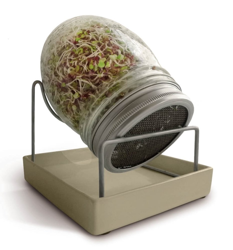 Geo GEO Kiemglas Geo GEO Kiemglas