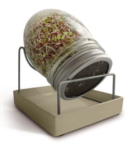 Geo GEO Kiemglas Geo GEO Kiemglas