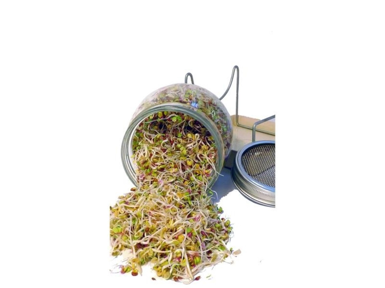 Geo GEO Kiemglas Geo GEO Kiemglas