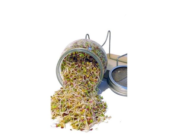 Geo GEO Kiemglas Geo GEO Kiemglas