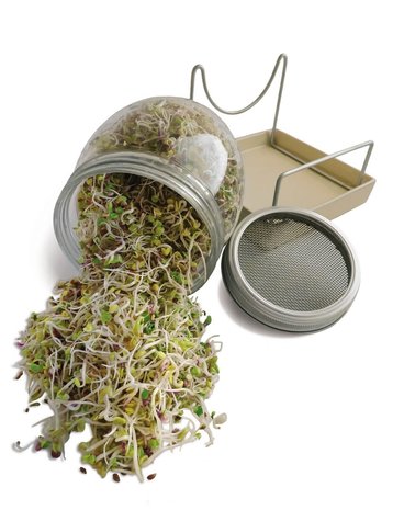 Geo GEO Kiemglas Geo GEO Kiemglas