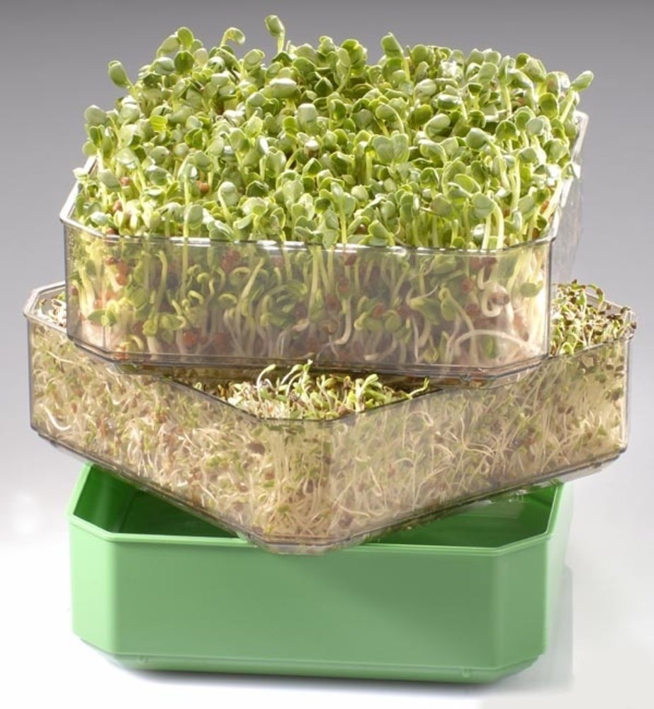 Germ'line Kweekbakje Germ'line