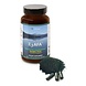E3Live E3Live E3AFA Blue Green Algae 60 V-Caps E3Live E3Live E3AFA Blue Green Algae 60 V-Caps