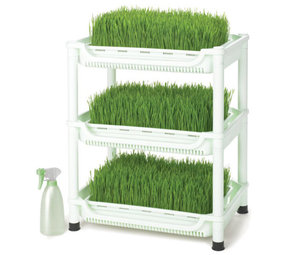 Sproutman Tarwegras Kweker SM-300