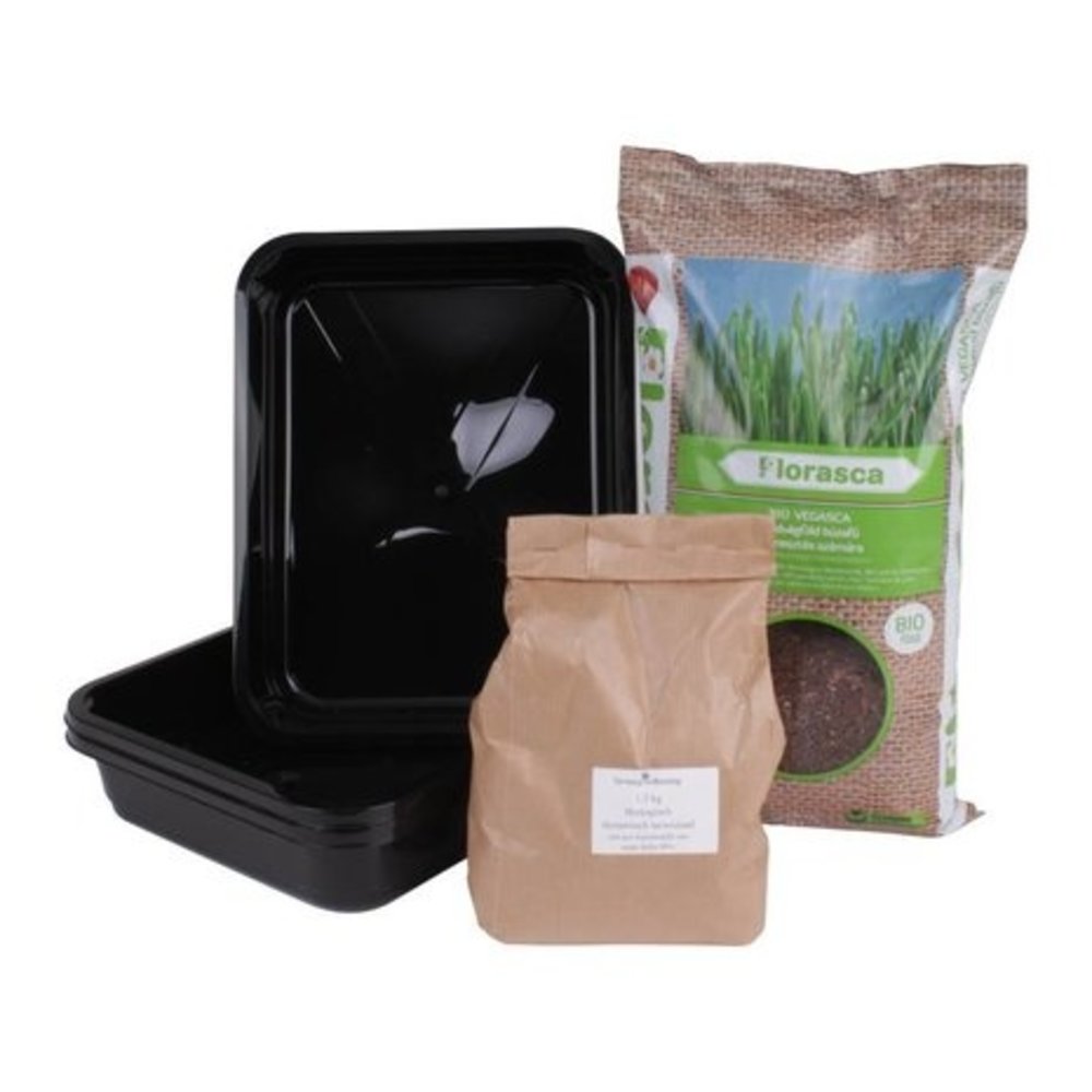 Byzoo handmatige  Tarwegras Slowjuicer (RVS)  + Kweekkit