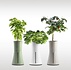Botanium Plantenbak Botanium Plantenbak