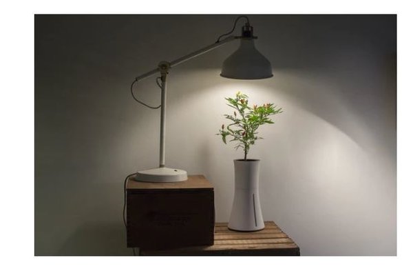Botanium Grow Lamp Botanium Grow Lamp