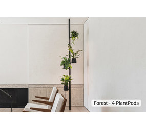 Mother  Forest  4 Pods  -Kweekstandaard