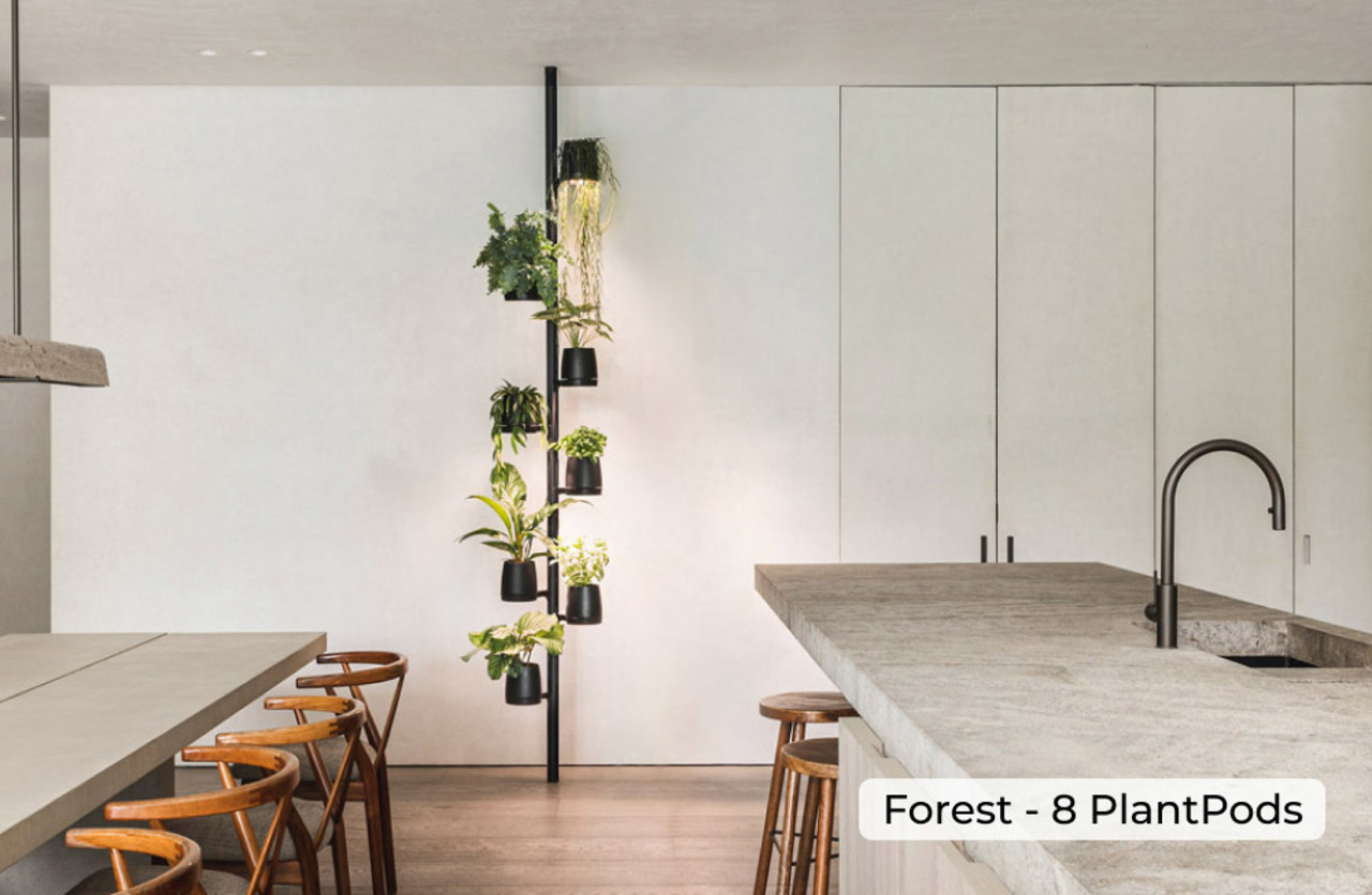 Mother Forest 12 Pods Kweekstandaard Mother Forest 12 Pods Kweekstandaard