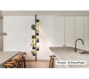 Mother  Forest  12 Pods  Kweekstandaard Mother  Forest  12 Pods  Kweekstandaard