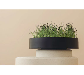 Mother  MicroPod Kweekset