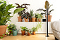 Mother PlantSpectrum 32 Led Kweeklamp Mother PlantSpectrum 32 Led Kweeklamp