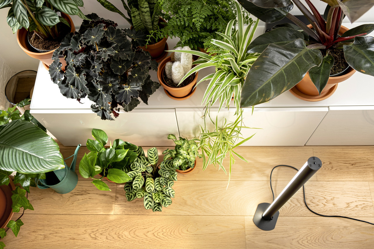 Mother PlantSpectrum 32 Led Kweeklamp