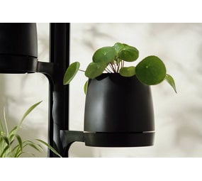 Mother  PlantPod Kweekpot Mother  PlantPod Kweekpot