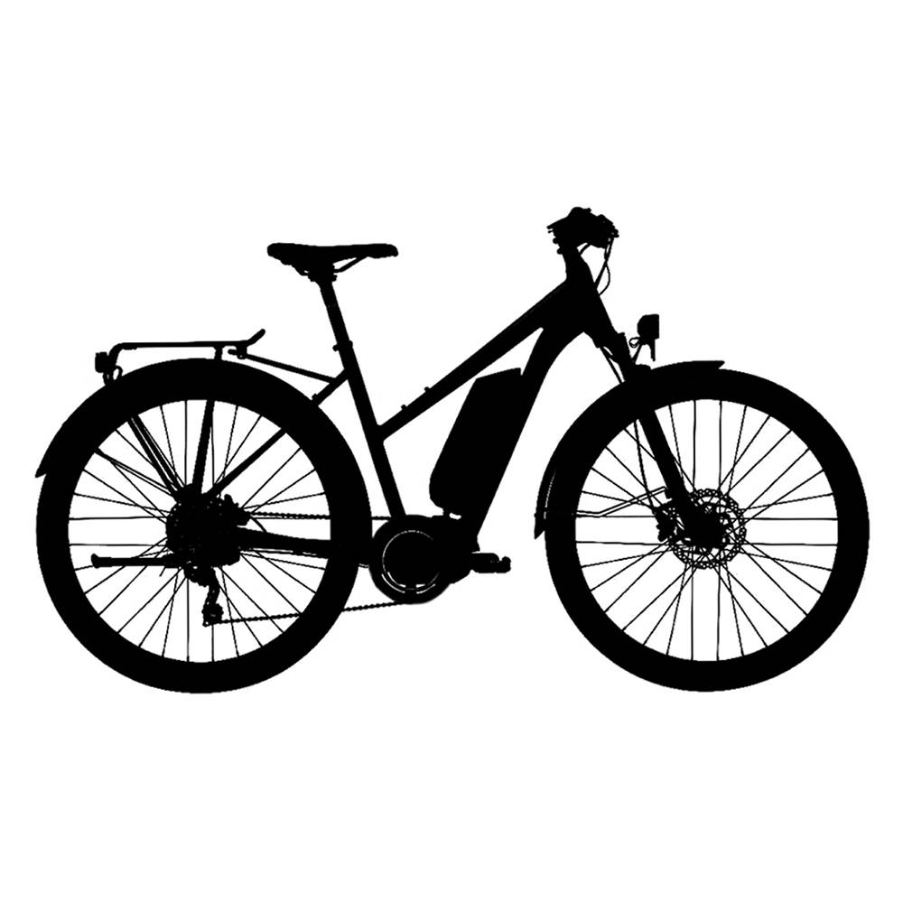bASECAMP Vélo Électrique - Femme