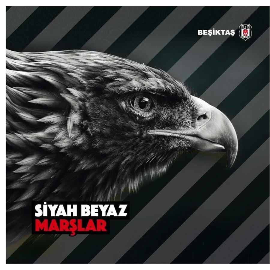 Bjk Fan Hymnen Cd Kartal Yuvasi Webshop