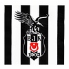 BEŞİKTAŞ KAĞIT PEÇETE 16 ADET 33*33