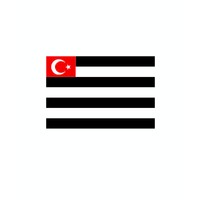 Beşiktaş Striped Flag 70*105