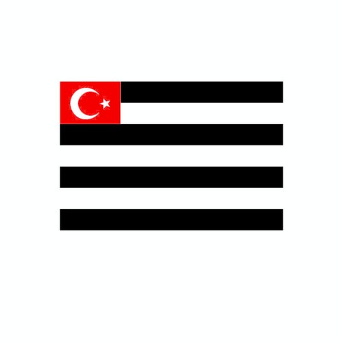 Beşiktaş Gestreept vlag 70*105