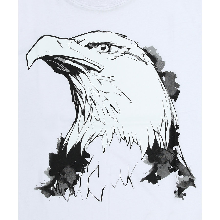 Beşiktaş Big Eagle T-Shirt Kinder 6121111