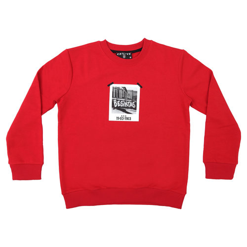 BEŞİKTAŞ FOTOĞRAF BASKILI ÇOCUK SWEATSHIRT 6122212