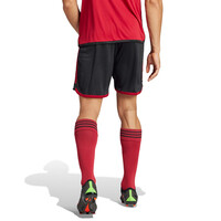adidas Beşiktaş Short Noir 23-24 (3.Short) HY0315