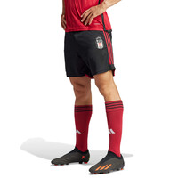 adidas Beşiktaş Short Noir 23-24 (3.Short) HY0315
