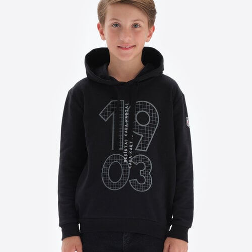 Beşiktaş Kids Hooded Sweater 6324306