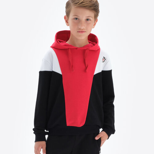 Beşiktaş Hooded Sweater Kinderen 6324311